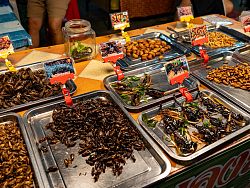 Naka Weekend Market (Talad Tai Rod)