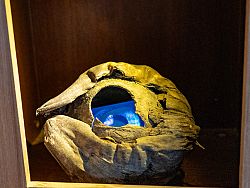 Thailand Biennale Phuket