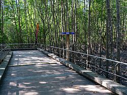 Thailand Biennale Phuket