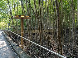 Thailand Biennale Phuket