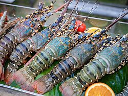 Catch of the Day, Crafted Your Way