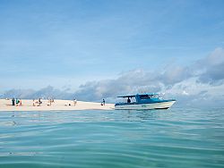 Simba Sea Trips 