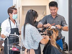 Patrick Chantham Hair Lab