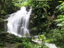 Ton Sai and Bang Pae Waterfalls