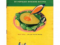 Avocado recipes – popular since the 1950s, reinvented by Millennials (image found at www.papersponge.com) 