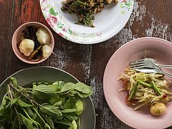 A typical Issan meal consists of young papaya salad, minced duck salad, sticky rice and herby greens.