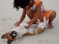 A girl plays with a puppy on Sunrise Beach
