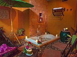 A luxurious & tropical bath & room