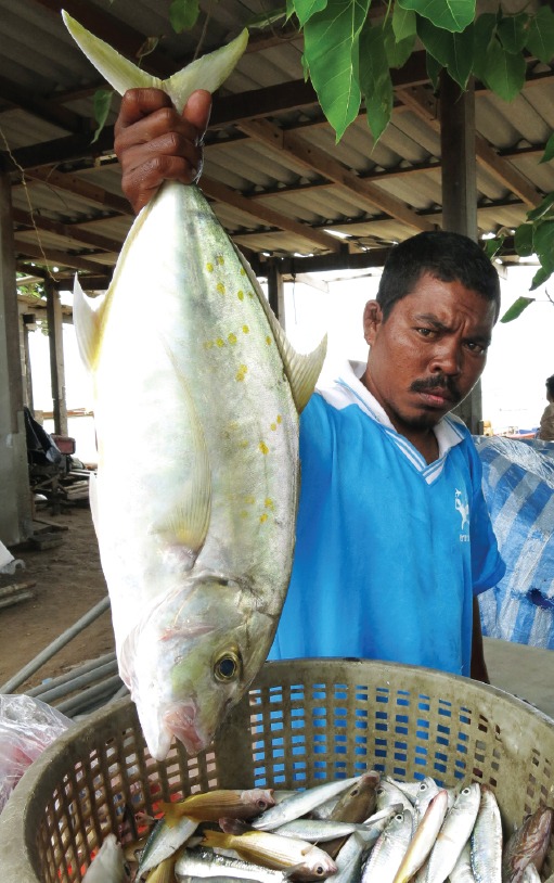 Visit the various stalls in the Rawai Sea Gypsy Village which sell freshly caught seafood at affordable prices