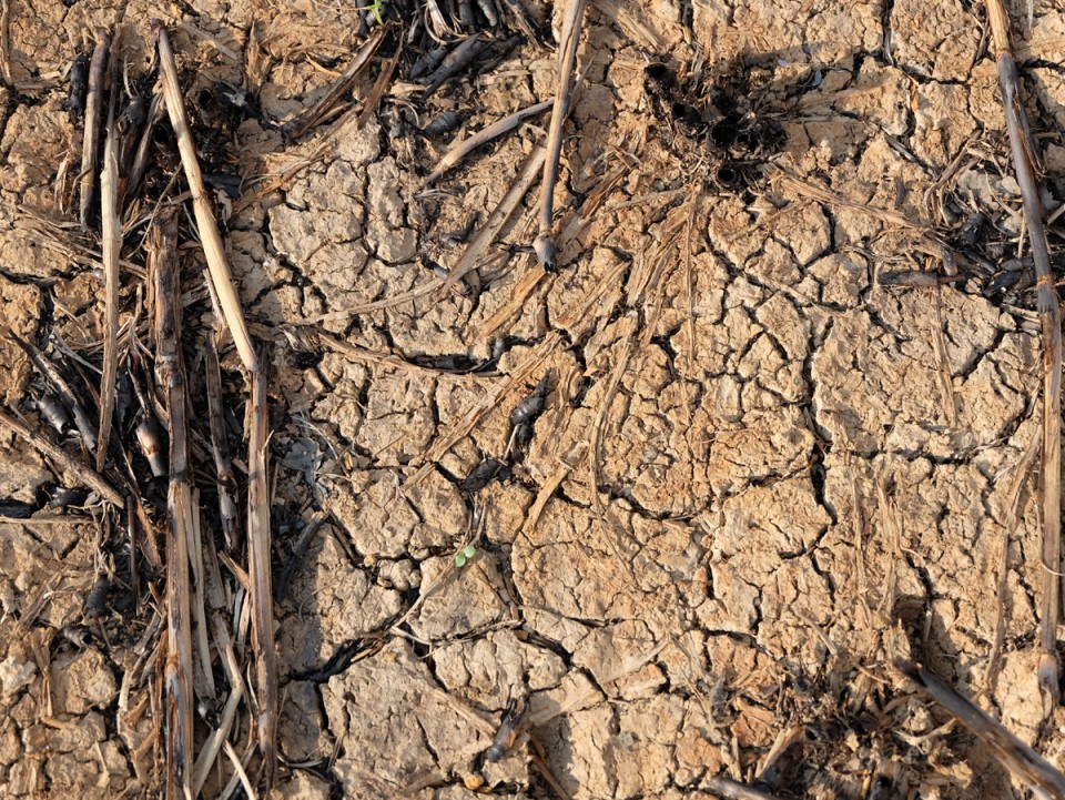 Farming conditions can be difficult in the Northeast, especially during drought.