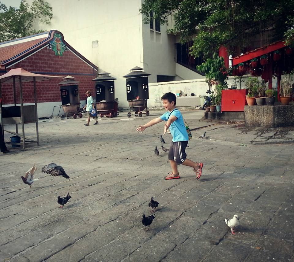 A young traveller chases pigeons across Chinese shrine grounds near the junction for Little India.