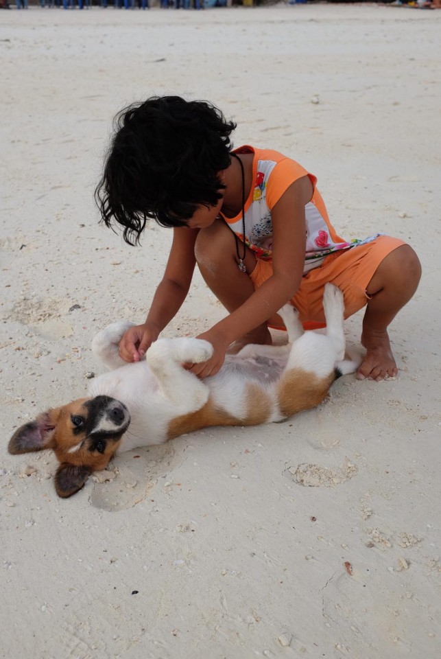 A girl plays with a puppy on Sunrise Beach