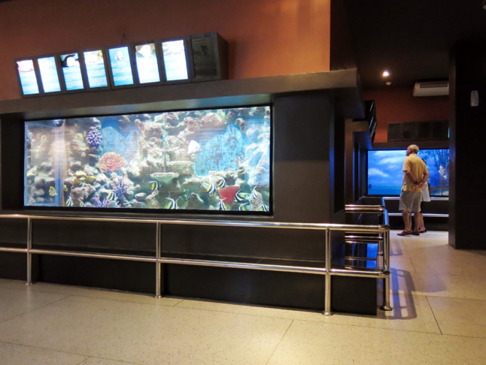 Phuket Aquarium