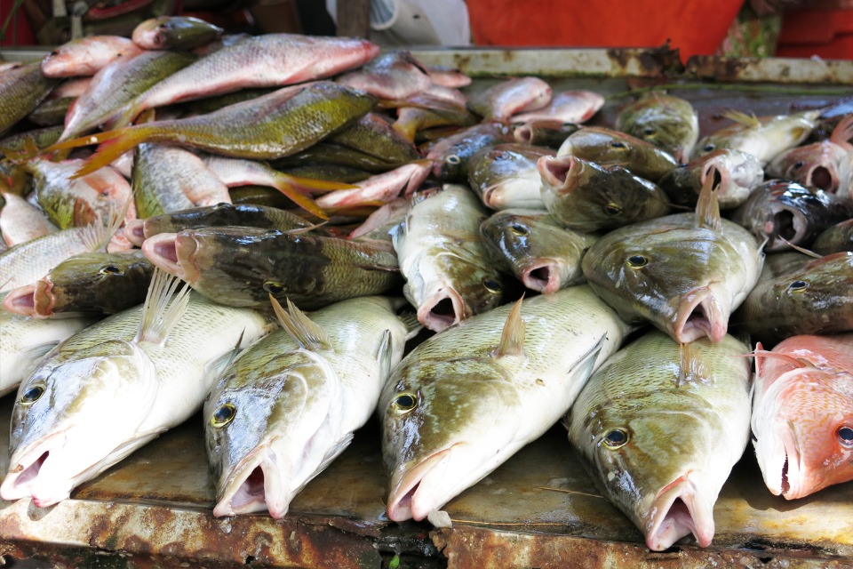 Rawai seafood market