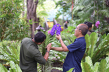 Orchid Garden Project