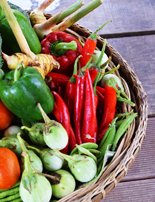 M&ouml;venpick Phuket Organic Goodness