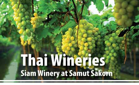 Thai Wineries