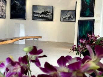 Art Exhibition : Nordics lights - tranquil, exotic and mysteriou