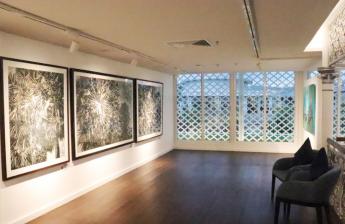 Art @Chaofah introducing First Gallery Exhibition at Ramada Plaza Hotel  – Contrasts